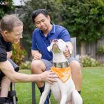 How to Find Your Ideal Home Care or Disability Support Service in Australia