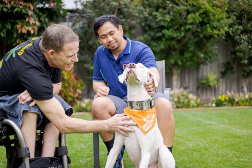 How to Find Your Ideal Home Care or Disability Support Service in Australia